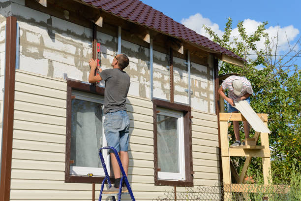 Best Custom Siding Design  in Sterling, AK